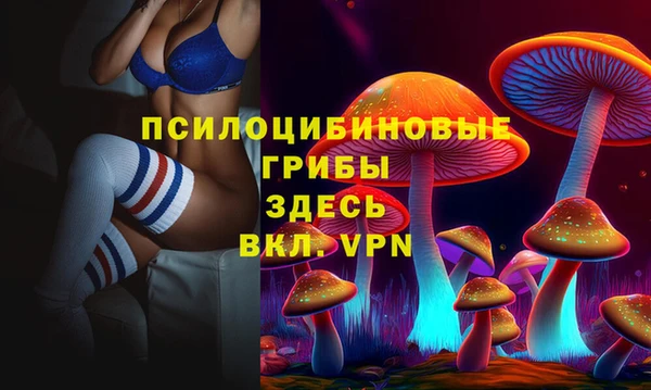 дживик Алексин