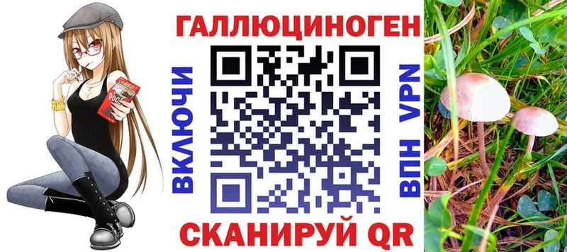 Галлюциногенные грибы прущие грибы  площадка клад  Салехард 